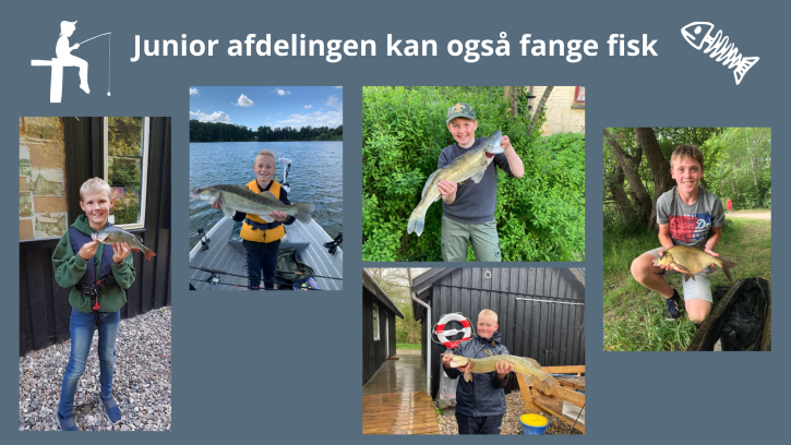 Junior afdelingen kan også fange fisk 725px